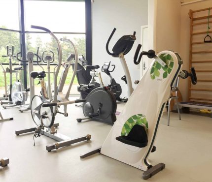 Lemco Combi Rehabilitation Bike